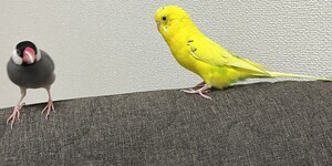 IMG_7917_コピー_コピー