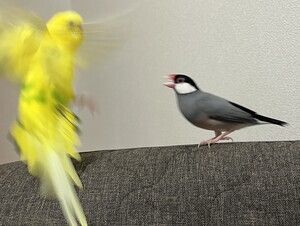 IMG_7829_コピー_コピー