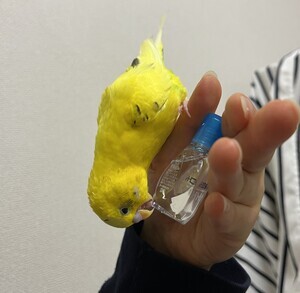 IMG_2379_コピー