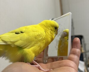 IMG_1873_コピー