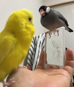 IMG_1876_コピー