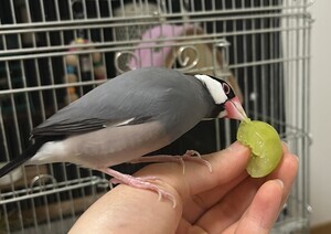 IMG_3505_コピー