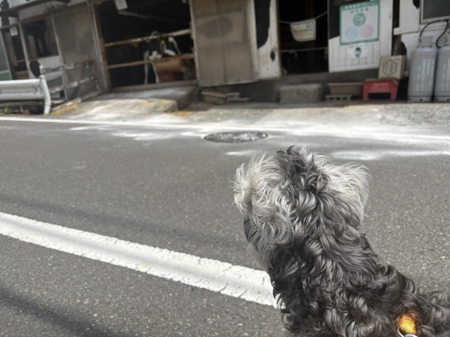 image0 (11)